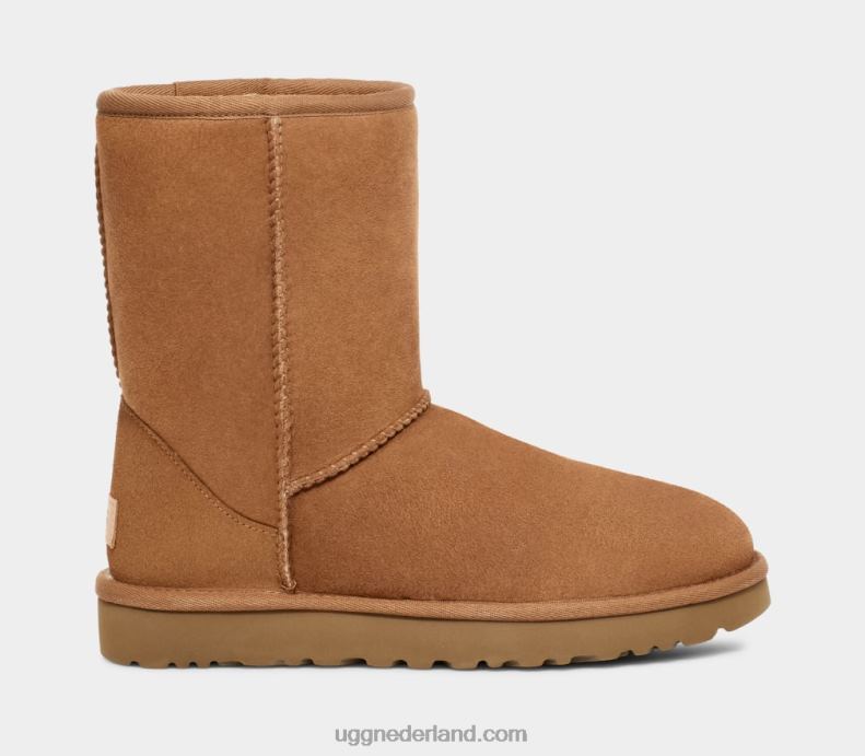 Heren kastanje UGG klassiek kort 686ZP1515