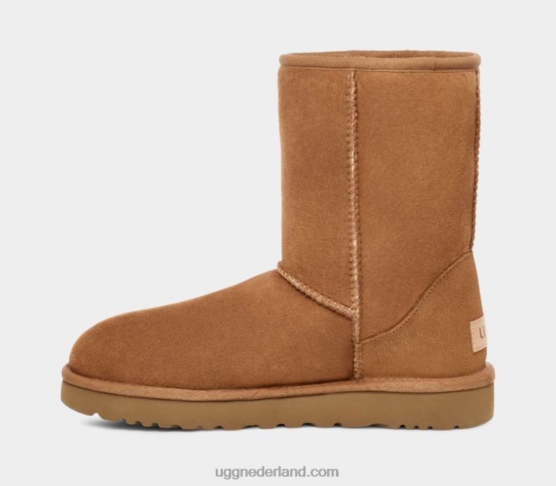 Heren kastanje UGG klassiek kort 686ZP1515