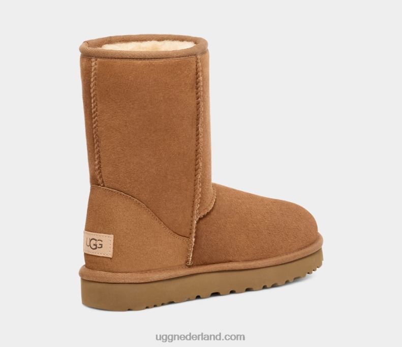 Heren kastanje UGG klassiek kort 686ZP1515