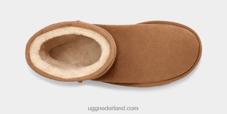 Heren kastanje UGG klassiek kort 686ZP1515