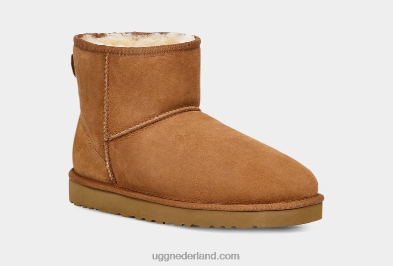 Heren kastanje UGG klassieke minilaars 686ZP1405