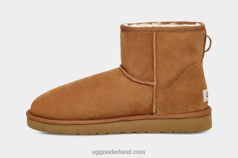 Heren kastanje UGG klassieke minilaars 686ZP1405