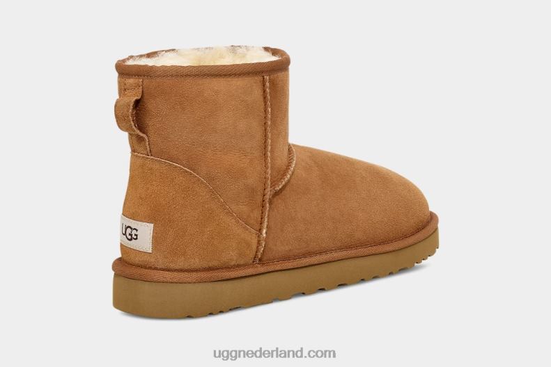 Heren kastanje UGG klassieke minilaars 686ZP1405