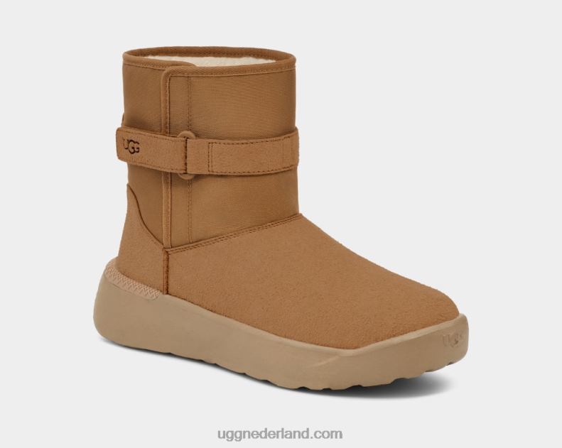 Heren kastanje UGG klassieke s 686ZP1483