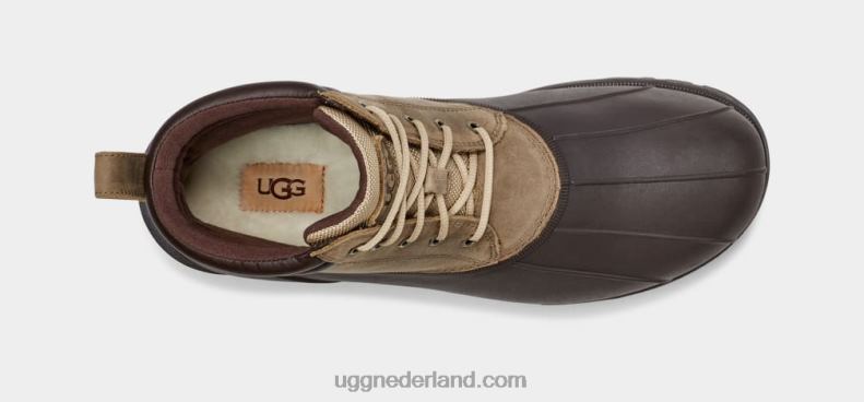 Heren militair zand UGG Gatson midden 686ZP213