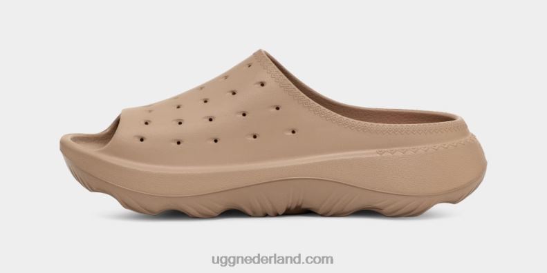 Heren duin UGG schuif het 686ZP1439