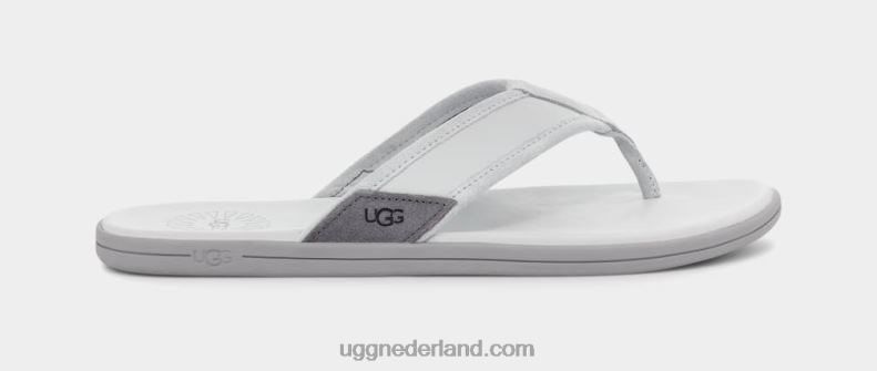 Heren gletsjer grijs UGG flip aan zee 686ZP1656