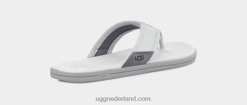 Heren gletsjer grijs UGG flip aan zee 686ZP1656