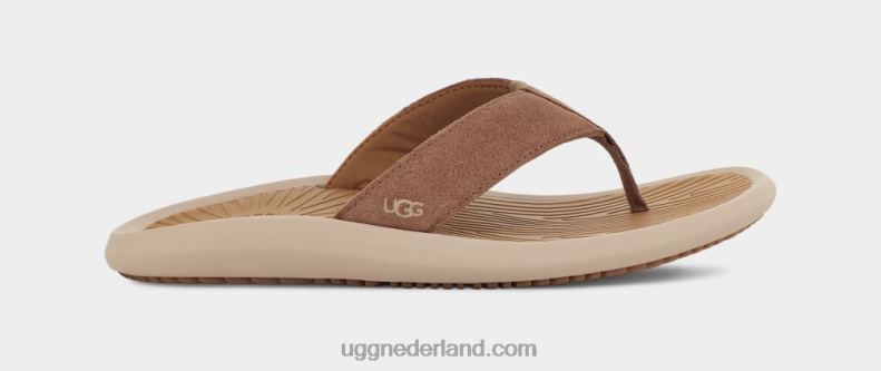 Heren kastanje UGG brookside ii flip suède 686ZP1568