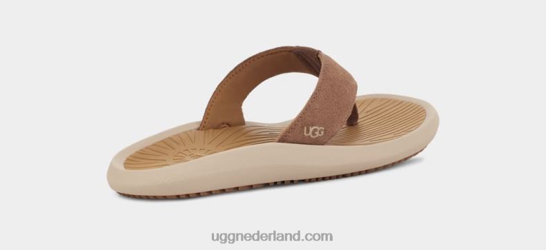 Heren kastanje UGG brookside ii flip suède 686ZP1568