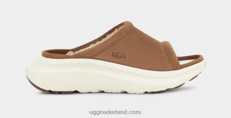 Heren kastanje UGG ca805 v2 dia 686ZP1606