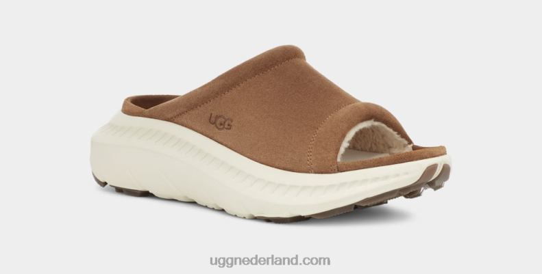 Heren kastanje UGG ca805 v2 dia 686ZP1606