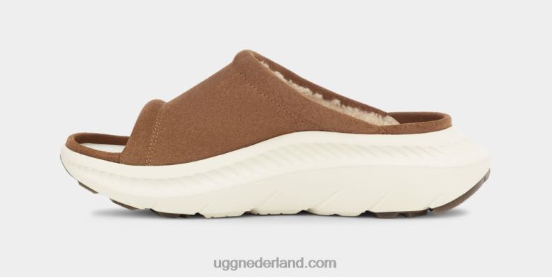 Heren kastanje UGG ca805 v2 dia 686ZP1606