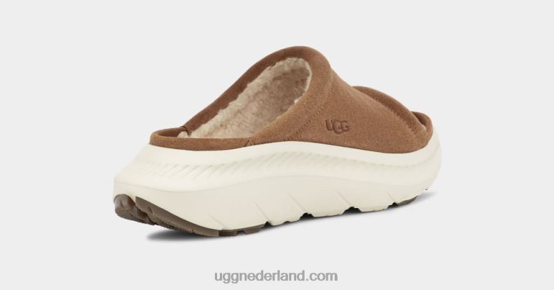 Heren kastanje UGG ca805 v2 dia 686ZP1606