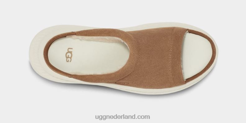 Heren kastanje UGG ca805 v2 dia 686ZP1606