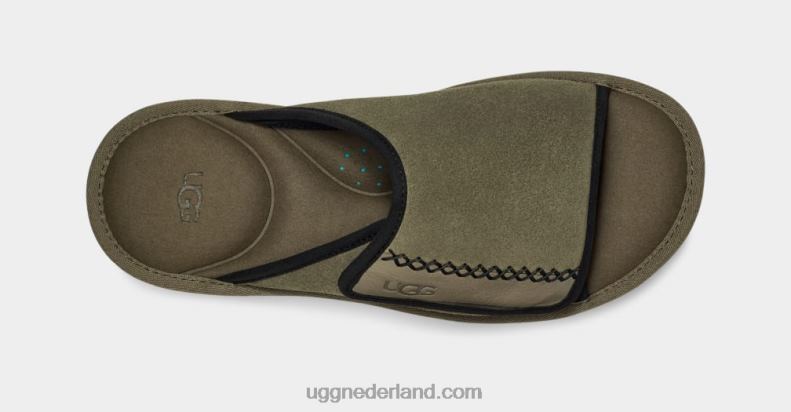 Heren mosgroen UGG gouden kust glijbaan 686ZP1453
