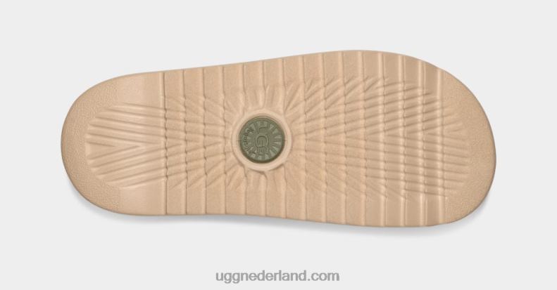 Heren mosgroen UGG maxxer glijbaan 686ZP2304