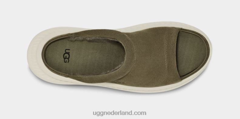 Heren verbrande olijf UGG ca805 v2 dia 686ZP1607