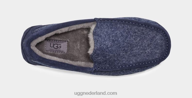 Heren donkere saffier UGG ascot wol 686ZP235