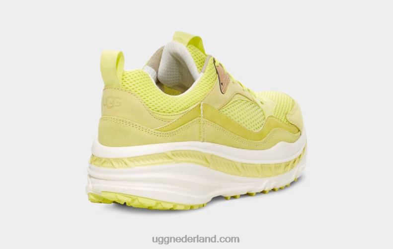 Heren stuifmeel/wit UGG ca805 x laag gaas 686ZP1646