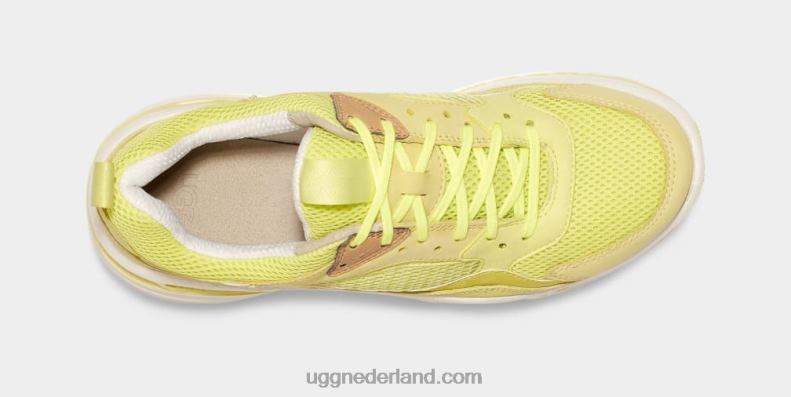 Heren stuifmeel/wit UGG ca805 x laag gaas 686ZP1646