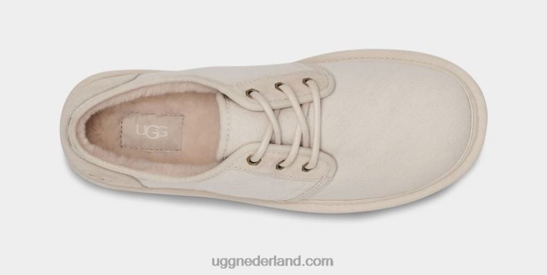 Heren witte pet UGG neumel laag canvas 686ZP1575