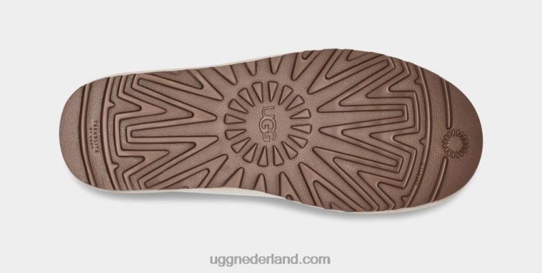 Heren witte pet UGG neumel laag canvas 686ZP1575