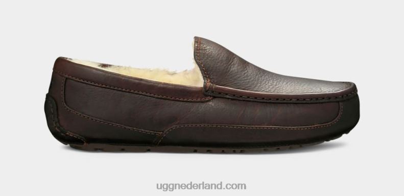 Heren Chinese thee UGG ascot leren pantoffel 686ZP212