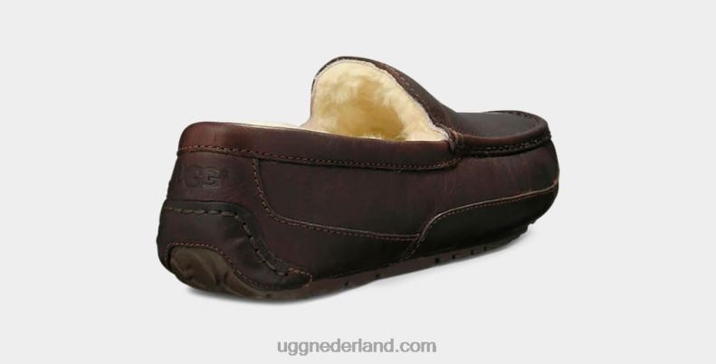 Heren Chinese thee UGG ascot leren pantoffel 686ZP212