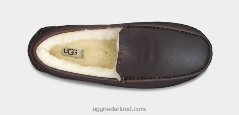 Heren Chinese thee UGG ascot leren pantoffel 686ZP212