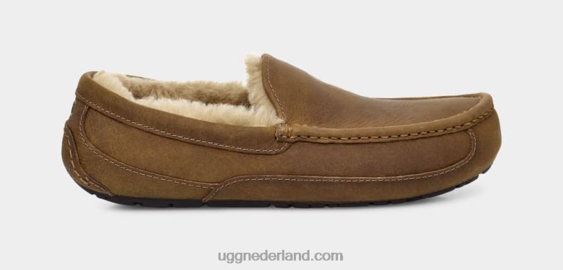 Heren bruinen UGG ascot mat leer 686ZP1504