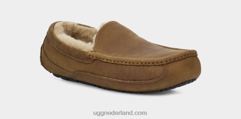 Heren bruinen UGG ascot mat leer 686ZP1504
