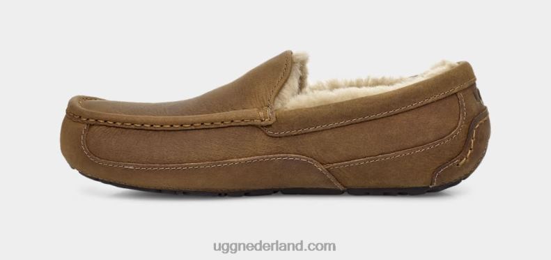 Heren bruinen UGG ascot mat leer 686ZP1504