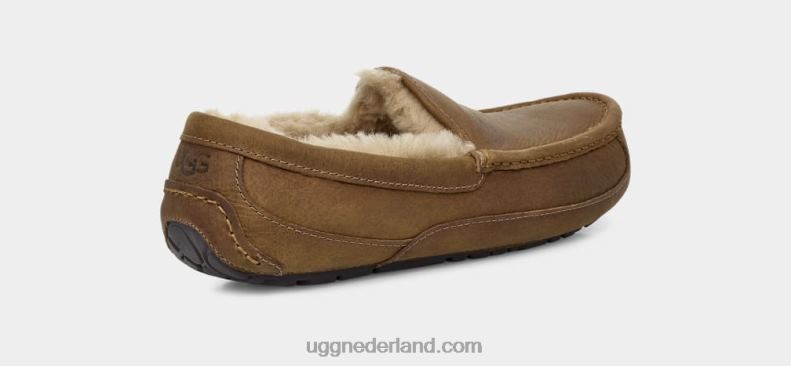 Heren bruinen UGG ascot mat leer 686ZP1504