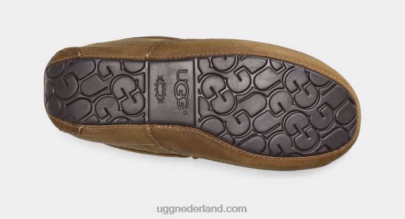 Heren bruinen UGG ascot mat leer 686ZP1504