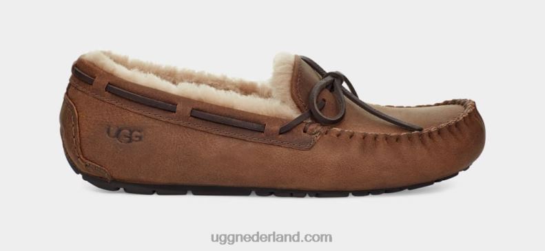 Heren bruinen UGG olsen 686ZP203
