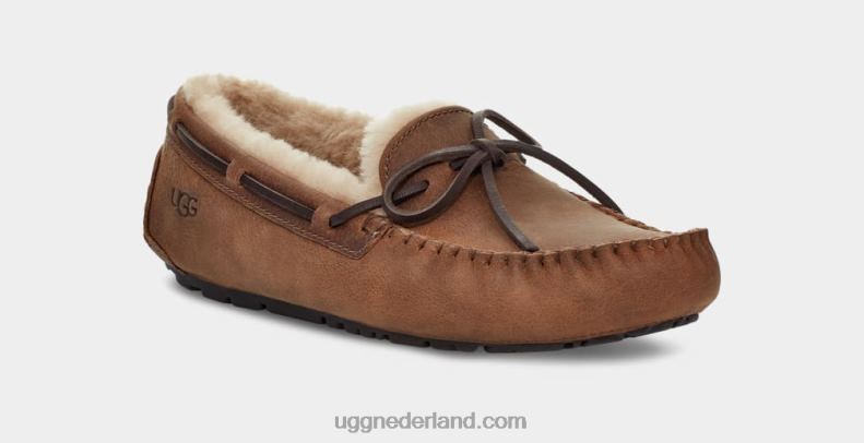 Heren bruinen UGG olsen 686ZP203