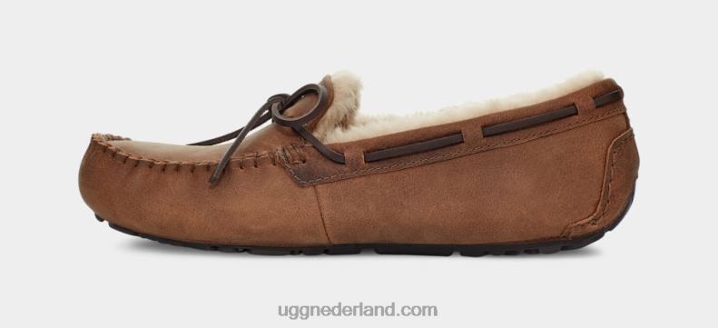 Heren bruinen UGG olsen 686ZP203
