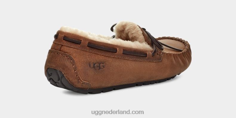Heren bruinen UGG olsen 686ZP203