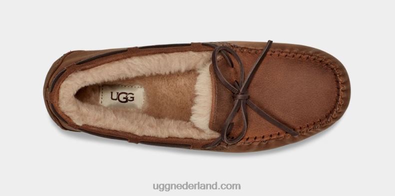 Heren bruinen UGG olsen 686ZP203
