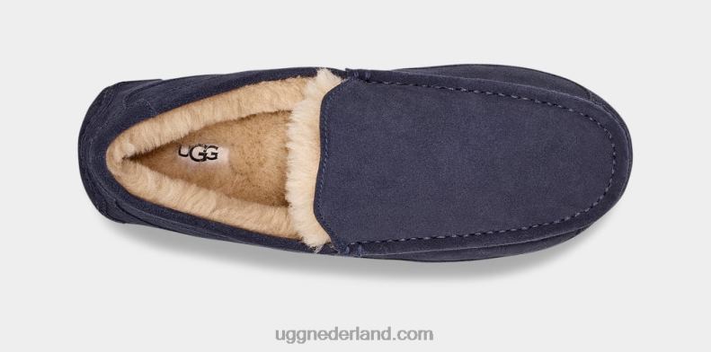 Heren echte marine UGG ascot pantoffel 686ZP1654