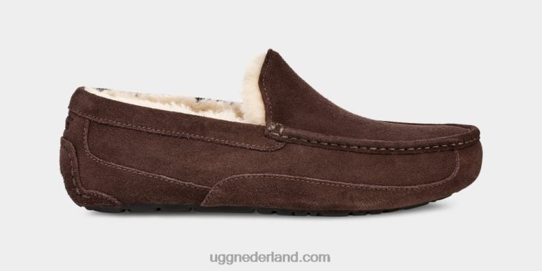 Heren espresso UGG ascot pantoffel 686ZP1652