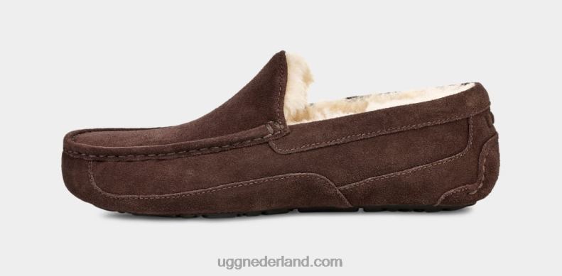 Heren espresso UGG ascot pantoffel 686ZP1652