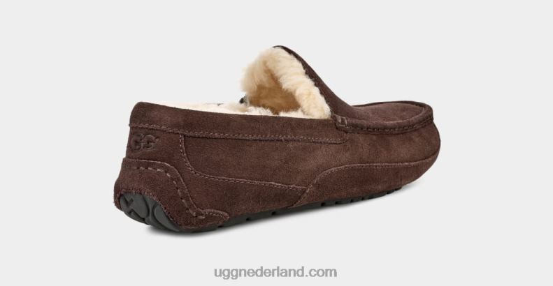 Heren espresso UGG ascot pantoffel 686ZP1652