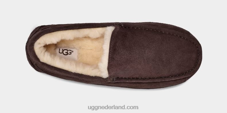 Heren espresso UGG ascot pantoffel 686ZP1652