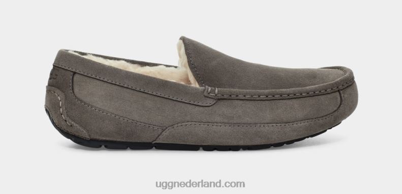Heren grijs UGG ascot pantoffel 686ZP1425