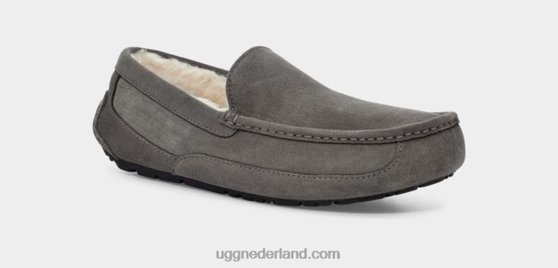 Heren grijs UGG ascot pantoffel 686ZP1425
