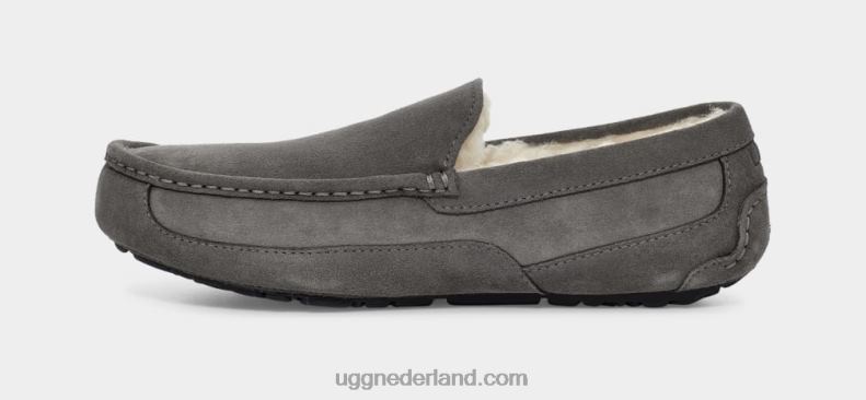Heren grijs UGG ascot pantoffel 686ZP1425