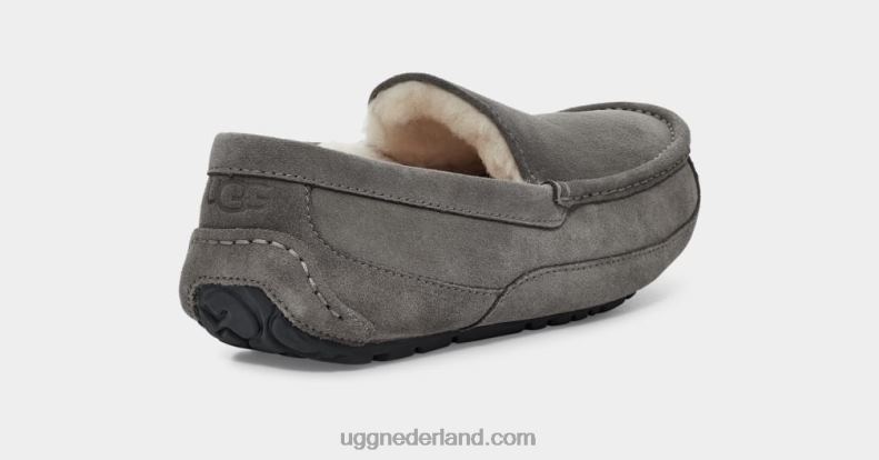 Heren grijs UGG ascot pantoffel 686ZP1425