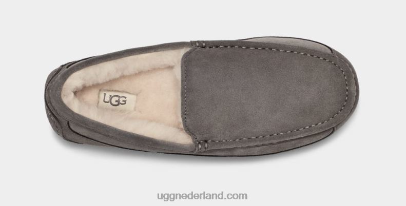 Heren grijs UGG ascot pantoffel 686ZP1425